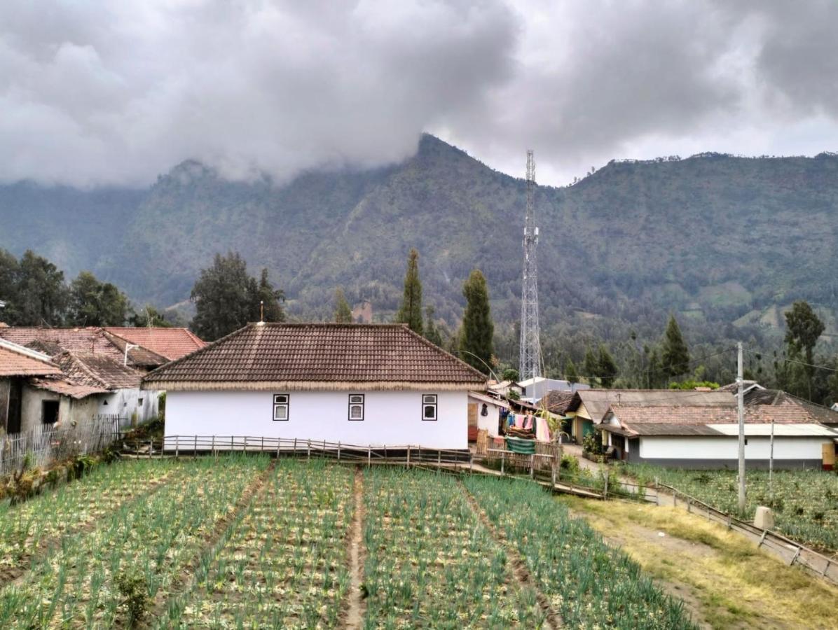 Homestay Wonotoro Asri Gunung Bromo Ngadisari Exterior photo